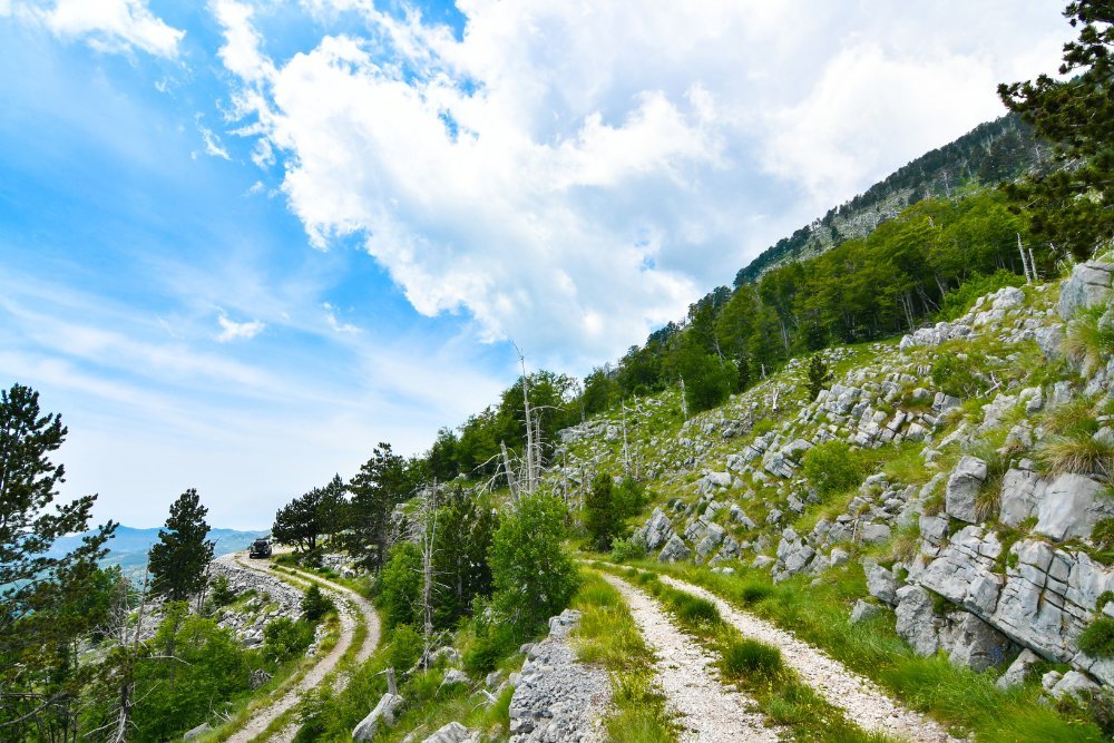 Guided quad experience near Herceg Novi Montenegro