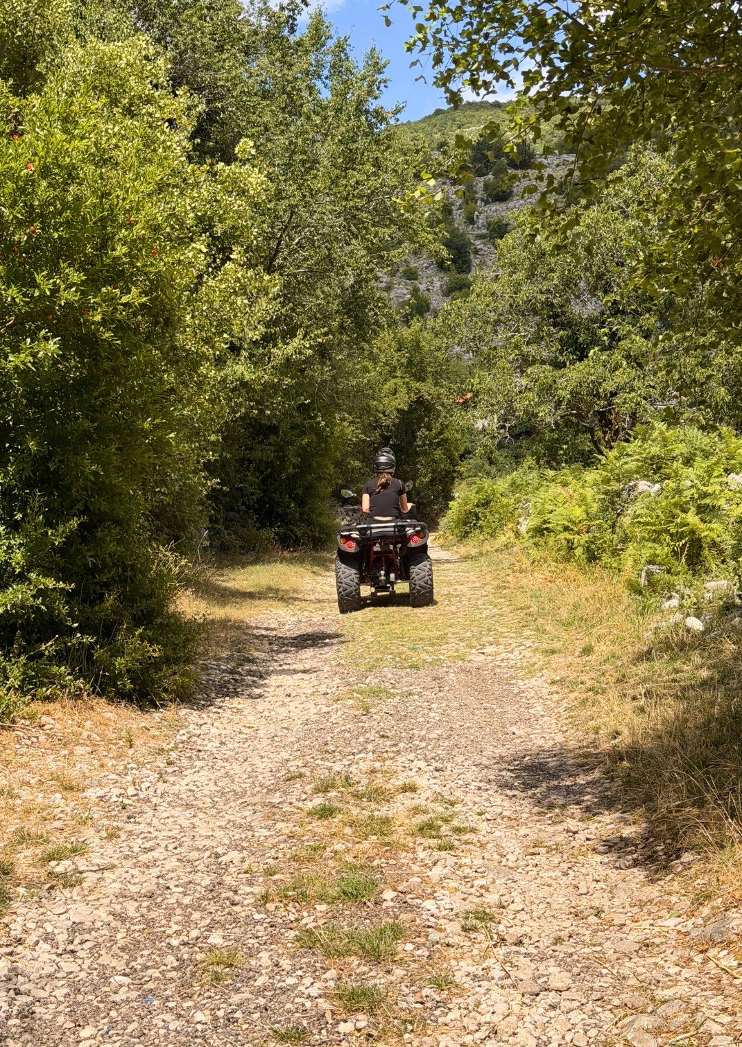 Vidov Vrh quad tour photo 6